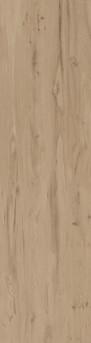 Alpine Oak